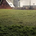 ദർബാർ ഹാൾ ഗ്രൗണ്ട്  ശുചീകരണം പൂർത്തിയായി