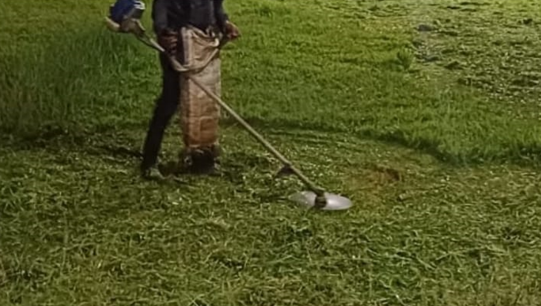 ദർബാർ ഹാൾ ഗ്രൗണ്ടിലെ പുല്ല് വെട്ടിത്തെളിച്ചു