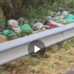 Waste Dumping in Container Road