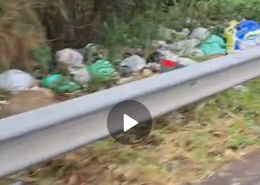 Waste Dumping in Container Road